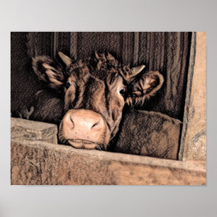 Koe Rustic Schetch Art Land Barn Boerderij Poster
