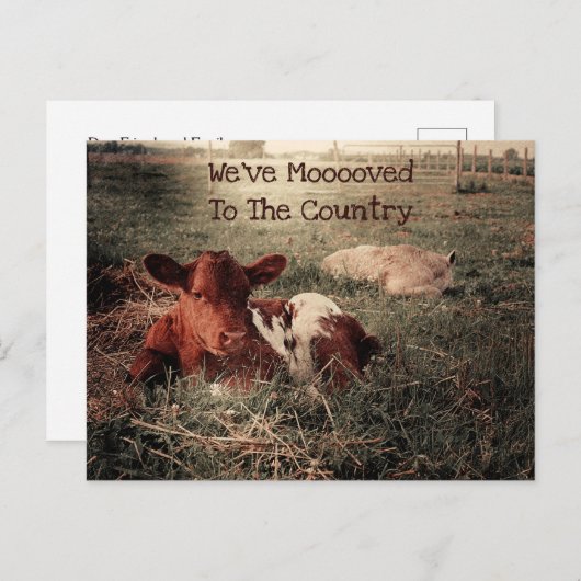 Koe Rustiek Land Grappig Boerderij Verhuisde Kaart (Voorkant / Achterkant)