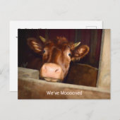 Koe Rustieke Country Barn Grappig Boerderij Verhui Briefkaart (Voorkant / Achterkant)