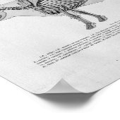 Koe Skelet Anatomie  Afdrukken Poster (Hoek)