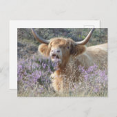 Koe sluiten DIY-Briefkaart sluiten Briefkaart (Voorkant / Achterkant)