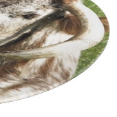 KOE SNIJPLANK (Hoek)