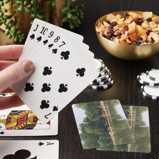 Koe speelkaarten (Insitu)