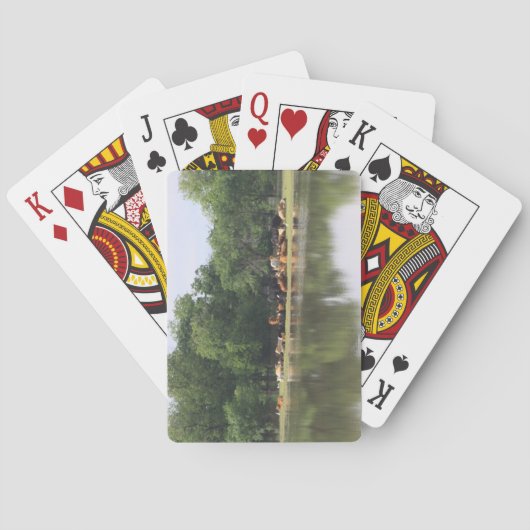 Koe speelkaarten (Achterkant)