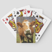 Koe speelkaarten (Achterkant)