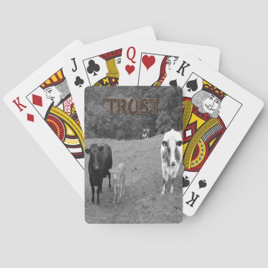 Koe Speelkaartendeck Pokerkaarten (Achterkant)