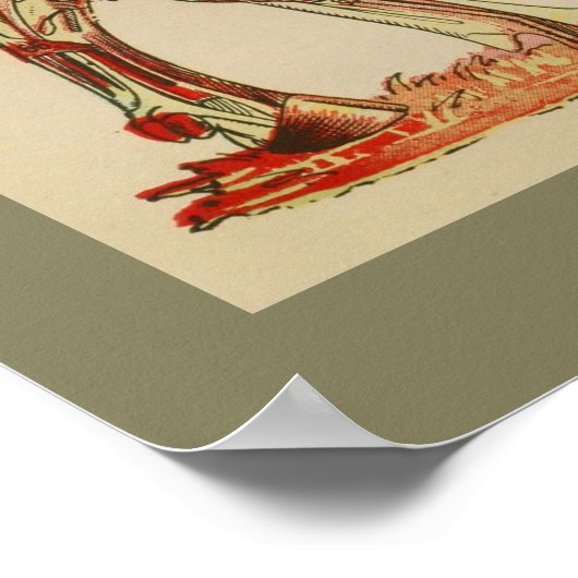 Koe Spier Anatomie Grafiek Poster (Hoek)