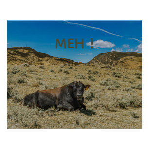 Koe spreekt MEH! Grappige mannelijke stier met ope Perfect Poster