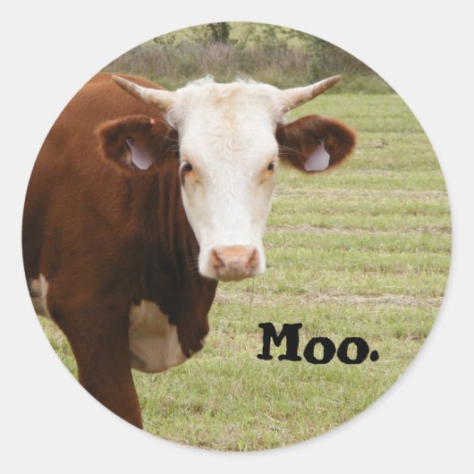 Koe sticker: "Moo." Ronde Sticker (Voorkant)