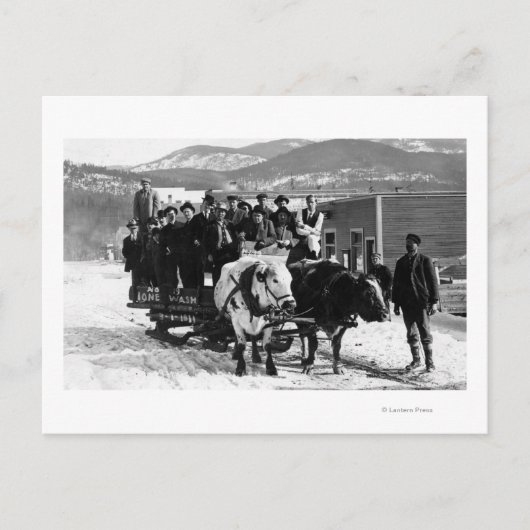Koe Team dat Mannen in een Wagon trekt Briefkaart (Voorkant)