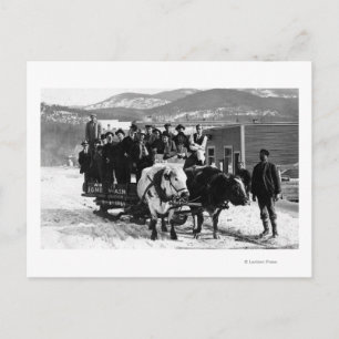 Koe Team dat Mannen in een Wagon trekt Briefkaart