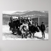 Koe Team dat Mannen in een Wagon trekt Poster (Voorkant)