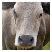 KOE TEGELTJE (Voorkant)