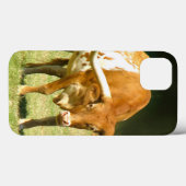 Koe Texas Longhorn Case-Mate iPhone Case (Achterkant (horizontaal))