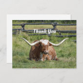 Koe Texas Longhorn Foto Bedankt Briefkaart (Voorkant / Achterkant)