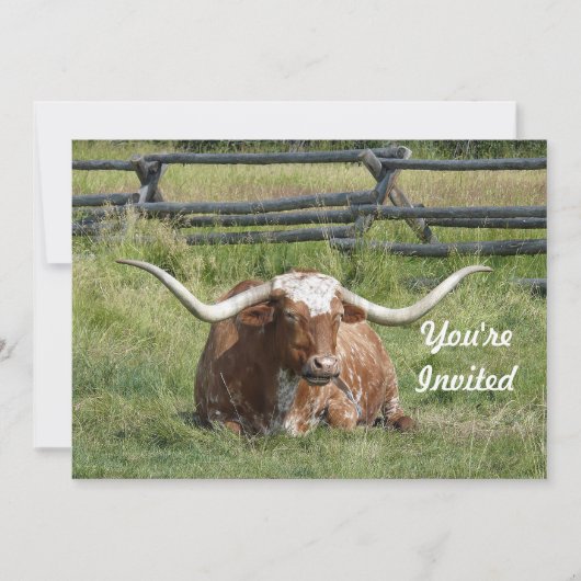 Koe Texas Longhorn Foto Birthday Kaart (Voorkant)
