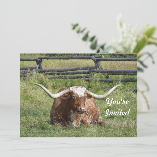Koe Texas Longhorn Foto Birthday Kaart (Staand voorkant)