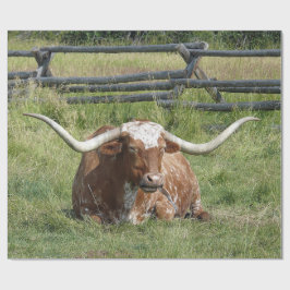Koe Texas Longhorn Foto Cadeaupapier