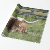 Koe Texas Longhorn Foto Cadeaupapier (Uitgerold)