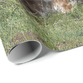 Koe Texas Longhorn Foto Cadeaupapier (Rol Hoek)