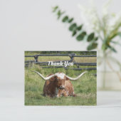 Koe Texas Longhorn Foto Dank je Briefkaart (Staand voorkant)