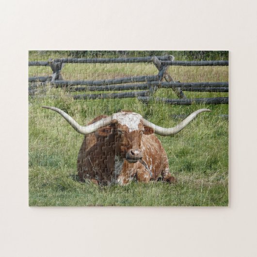 Koe Texas Longhorn Foto Legpuzzel (Horizontaal)