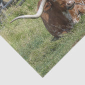 Koe Texas Longhorn Foto Tissuepapier (Detail)