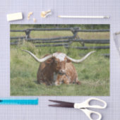 Koe Texas Longhorn Foto Tissuepapier (Craft)