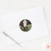 Koe tikt uit Tongue Ronde Sticker (Envelop)