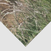 KOE TISSUEPAPIER (Detail)