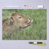 KOE TISSUEPAPIER (Craft)