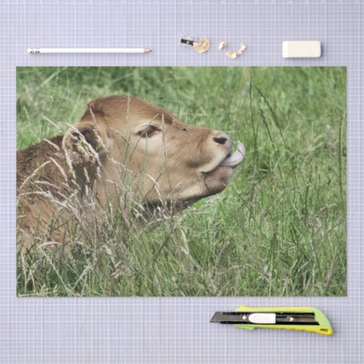 KOE TISSUEPAPIER (Craft)