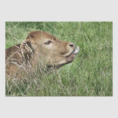 KOE TISSUEPAPIER (Voorkant)