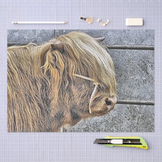 KOE TISSUEPAPIER (Craft)