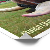 koe tongfragment poster (Hoek)