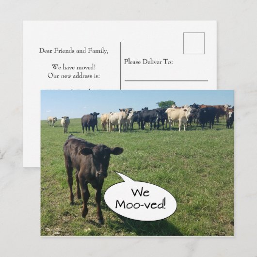 Koe van adreswijziging We hebben ons verplaatst Briefkaart (Voorkant / Achterkant)