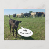 Koe van adreswijziging We hebben ons verplaatst Briefkaart (Voorkant)