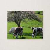 Koe van bloeiende appelbomen in Normandië Legpuzzel (Horizontaal)
