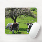 Koe van bloeiende appelbomen in Normandië Muismat (Met muis)