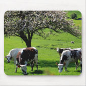 Koe van bloeiende appelbomen in Normandië Muismat (Voorkant)