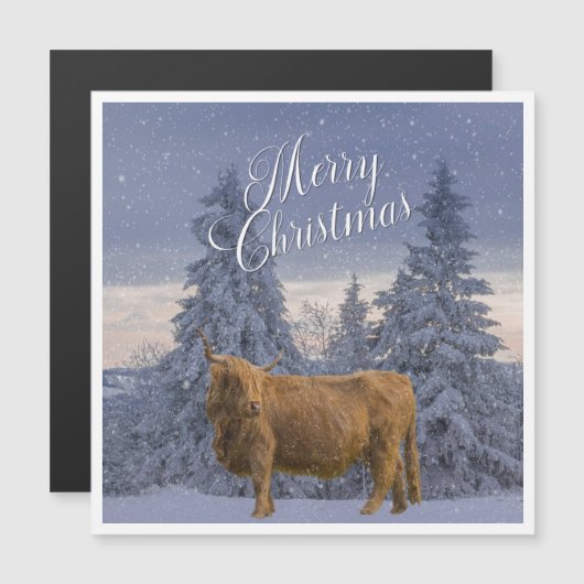 KOE VAN CHRISTMAS HIGHLAND (Voorkant / Achterkant)