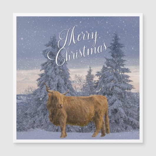 KOE VAN CHRISTMAS HIGHLAND (Voorkant)