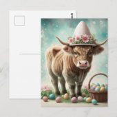 Koe van de Paaswoude Highland Briefkaart (Voorkant / Achterkant)