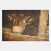 Koe van de textielsector in barn - rustic Inpakpapier Vel (Voorkant 2)