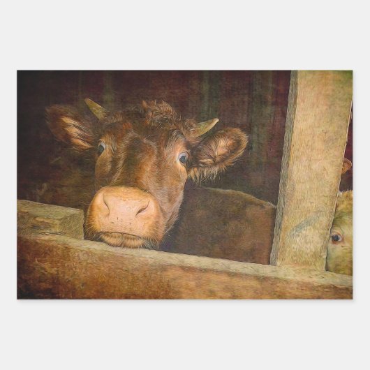 Koe van de textielsector in barn - rustic Inpakpapier Vel (Voorkant 2)