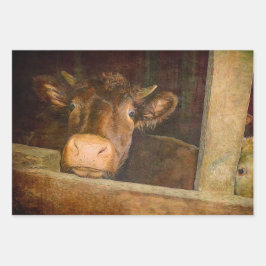  Koe van de textielsector in barn - rustic Inpakpapier Vel