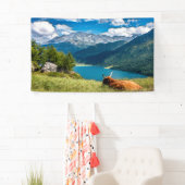 Koe van het hoogland van het gebergte spandoek (Insitu)