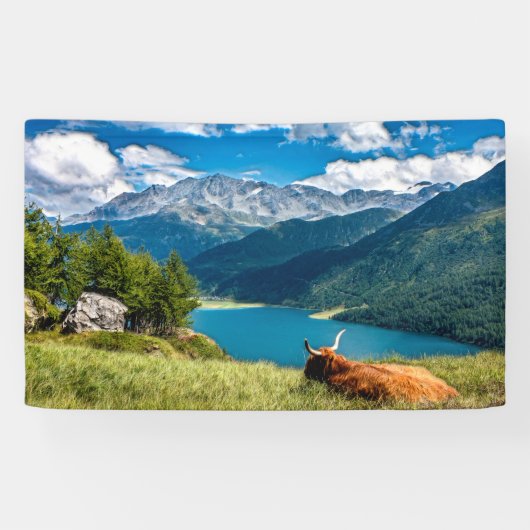 Koe van het hoogland van het gebergte spandoek (Horizontaal)