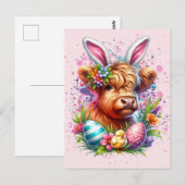 Koe van het Paashoogland Briefkaart (Voorkant / Achterkant)