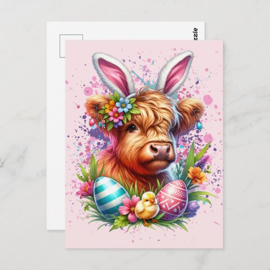 Koe van het Paashoogland Briefkaart (Voorkant / Achterkant)